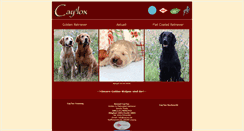 Desktop Screenshot of caylox.de